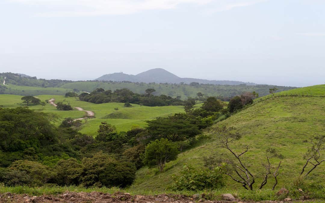 Guanacaste