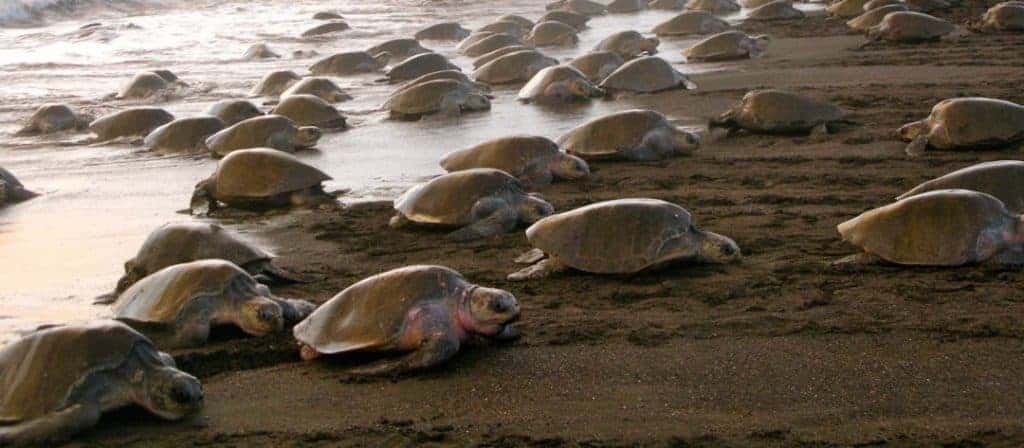 Best time to visit Costa Rica