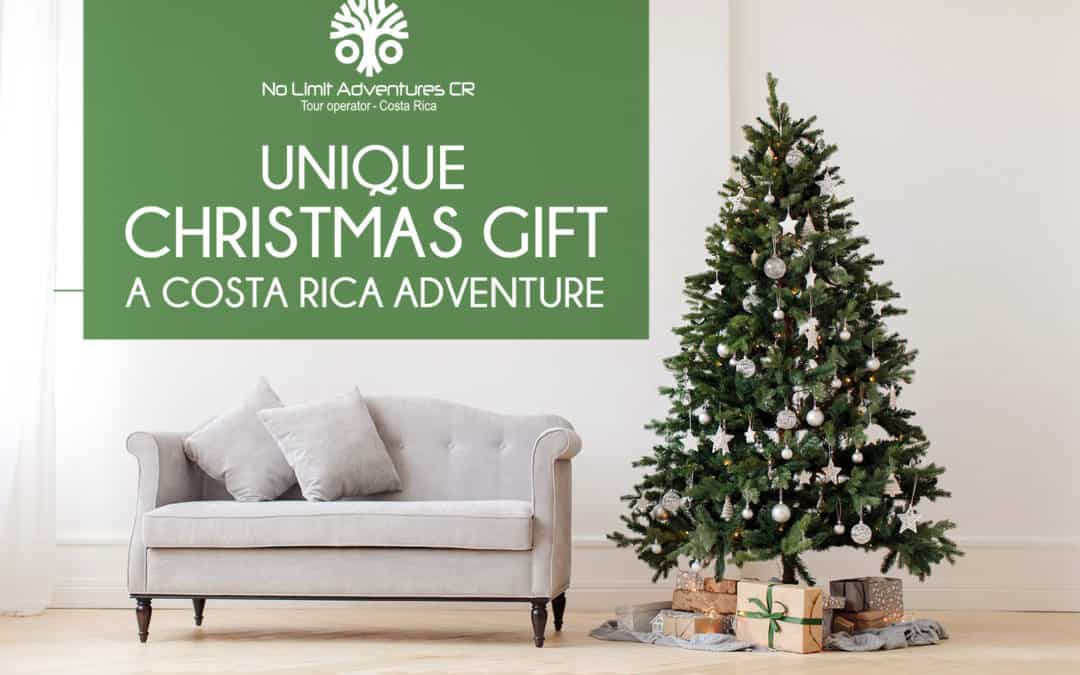 Unique-christmas-Gift-No-Limit-Adventure