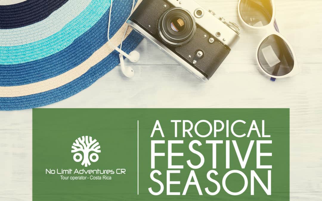 A Tropical Festive Season