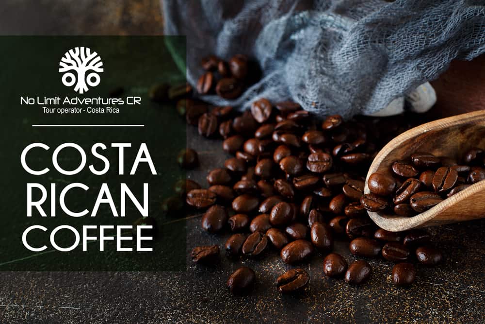 Costa Rican Coffee