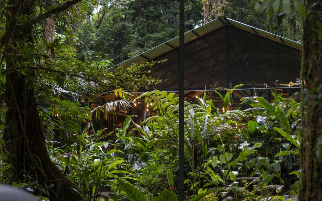 Luxury and sustainability: Why Costa Has One of the Greatest Travel Proposals