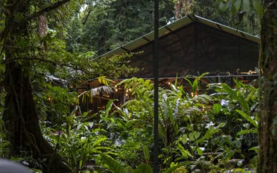 Luxury and sustainability: Why Costa Has One of the Greatest Travel Proposals